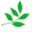 geggmyanmar.org