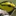 utopianature.com