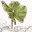 nomiti.wordpress.com
