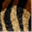 muto-design.de