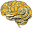mindboggle.readthedocs.io