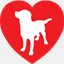 comppany.com