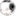 omeglewebcam.com