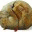 jnilenie.wordpress.com