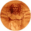 consciousnessparadigm.com