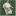 edogzone.com