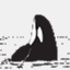 seasmokewhalewatching.com