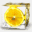 cubiclemon.net
