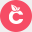 citrusven.com
