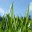 mellowsun.wordpress.com