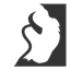 whitebuffaloinc.org