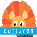 cotilyon-animation.fr