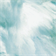 meredithlee.com.au
