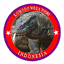 floresmegatours.com