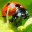 bug206.com