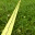 dykeroadpark.wordpress.com