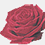 blumenwerkstatt.at