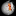 ceres.net.pl