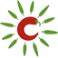 calidartpro.com