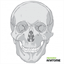 practiceanatomy.com