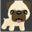 pugfanclub.org