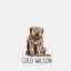 coldwilson.com