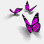 evoluaconcept.com