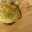 ferdfound.wordpress.com