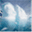 coldseas.com