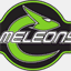 chameleonskin.bike