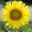 jsbiology.wordpress.com
