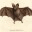 batspit.wordpress.com