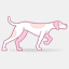 pinkpointer.com