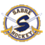 sabregirlshockey.com