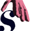 skatterbrain.org