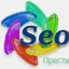 seoexpert.su