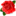 adafoltran.com