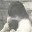 prewiredunplugged.com