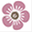 blumenecke.ch