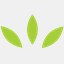 calypsoscubacenter.com