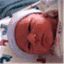 jakeprock.wordpress.com