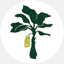 bsdchem.com