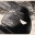 midnightdispatches.wordpress.com