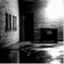 shadowreports.com