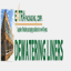 dewateringliners.com