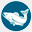 antfish.com