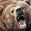 williebear.com