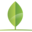 mintrenovations.com