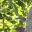 karenblopez.wordpress.com