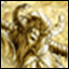 s2.knights.pl